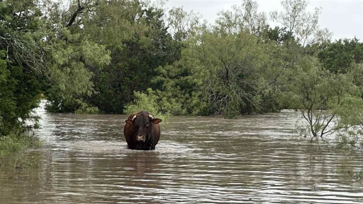 516768523_1145588207605092_7714824659273798588_n