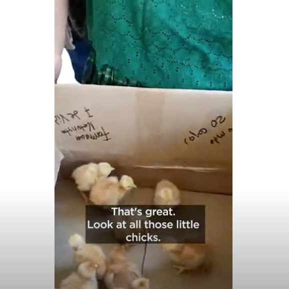 Screenshot-2024-08-30-at-10.27.14 AM