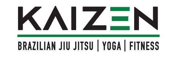 Tdss Partners Kaizen